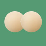 non adhesive nipple covers-2 nipple covers no adhesive